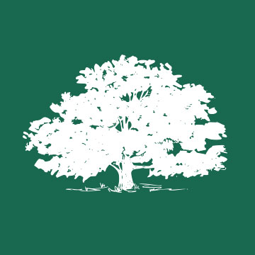 Murrieta Valley Unified School District Logo